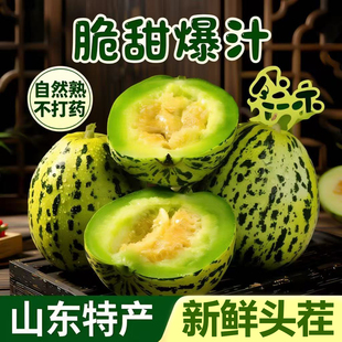 山东花美人甜瓜脆甜八里香时令新鲜应季孕妇水果整箱包邮鲜果绿宝