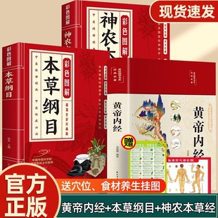 原文白话文版 黄帝内经2026年新版 全集原版 正版 图解黄本草纲目皇帝内经黄帝内针王帝内经内经书新华书店黄帝外经非漫画版
