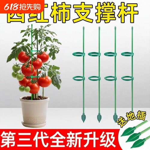 盆栽番茄支撑架西红柿专用架子阳台种菜黄瓜辣椒龟背竹爬藤搭架杆