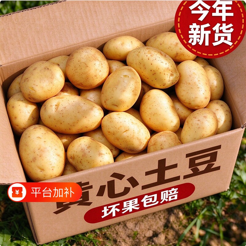 贵州威宁新洋芋新土豆10斤农家自种本地现挖新鲜黄心黄皮产地直发