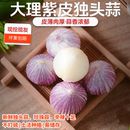 云南大理紫皮珍珠蒜独头蒜不熏硫蒜香浓郁辛辣十足食用现货现发