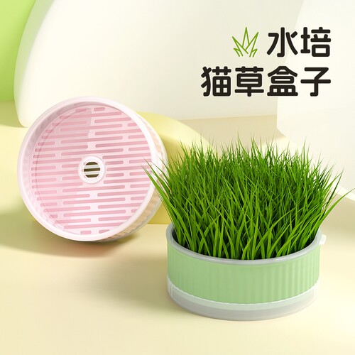 懒人猫草盆栽猫零食种植排毛球化毛专用小麦草猫咪拌粮零食水培