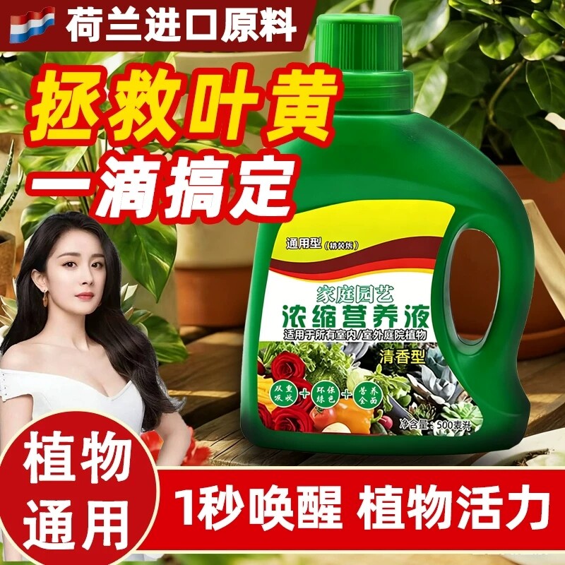 植物绿植营养液富贵竹通用型绿萝发财树多肉水培养花卉盆栽花肥料图片