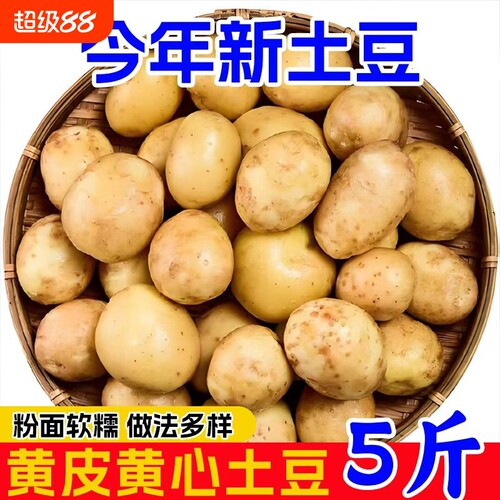 恩施高山老品种黄心小土豆