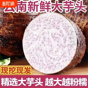 云南正宗大芋头5斤新鲜香芋大芋头农家现挖香甜粉糯产地直发 包邮