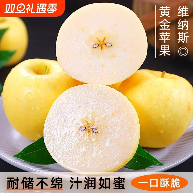 山东正宗维纳斯黄金苹果新鲜水果当季应季头茬整箱奶油富士新鲜