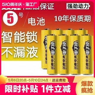 双鹿电子锁电池 指纹锁密码专用5号电池 适用于德施曼小米三星凯迪仕防盗酒店智能锁 AA LR6 1.5v五号大容量