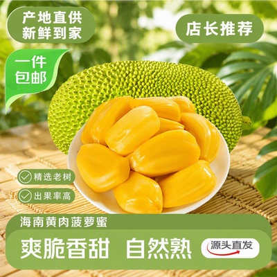 海南菠萝蜜干苞一整个新鲜水果包邮当季热带波罗蜜批发大果木菠萝