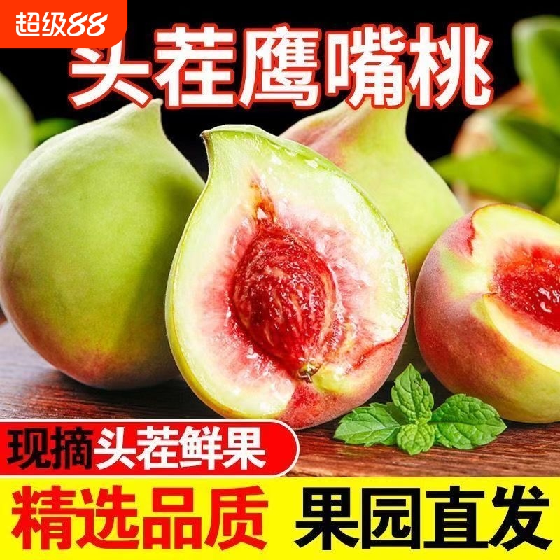 出口云南鹰嘴桃新鲜水果当季整箱现摘桃子水蜜桃孕妇甜脆毛桃精选