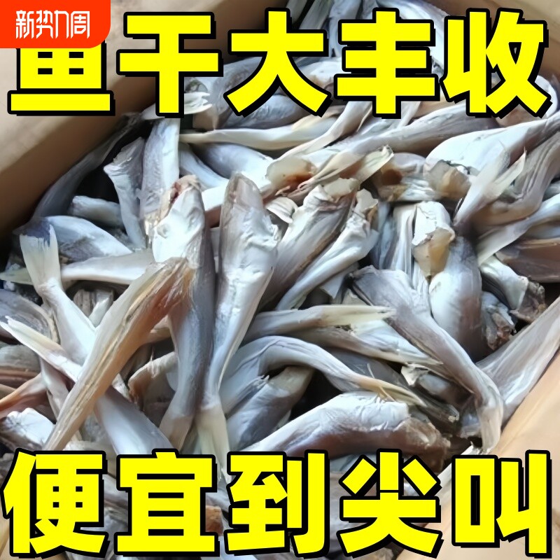 小鱼干红娘鱼干渔民自制风干无头海鱼干山东咸鱼干自晒野生红头鱼