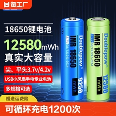 倍量18650锂电池3.7v手电筒4.2v小风扇电蚊拍充电器套装5号强光