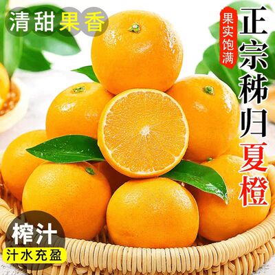 正宗夏橙脐橙春橙秭归橙子当季新鲜水果整箱手剥果冻甜榨汁大果