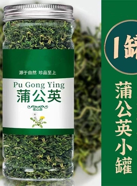 蒲公英茶正品特中药材新鲜散茶干草级生浦公英叶根茶野食用长白山