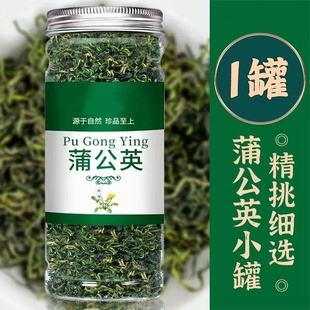 蒲公英茶正品特中药材新鲜散茶干草级生浦公英叶根茶野食用长白山