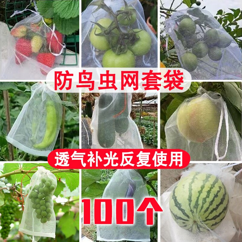 水果草莓套袋防虫保护袋防鸟网纱袋专用袋葡萄桃子石榴柿子橘子