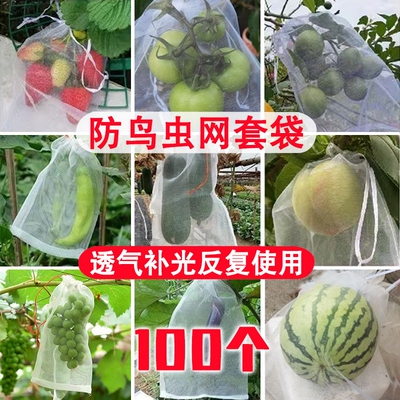 水果防虫保护袋套果|万人加购