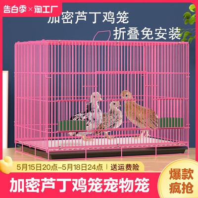 芦丁鸡专用笼家用雏鸡笼小鸡笼鹌鹑笼小黄鸭笼柯尔鸭笼宠物笼小号