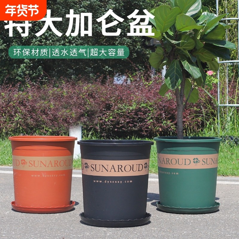 7加仑花盆2025塑料大口径专用盆6高档树脂种植带托盘庭院超大控根,鲜花速递/花卉仿真/绿植园艺,花盆,淘宝优惠券,粉丝福利购,淘宝优惠卷