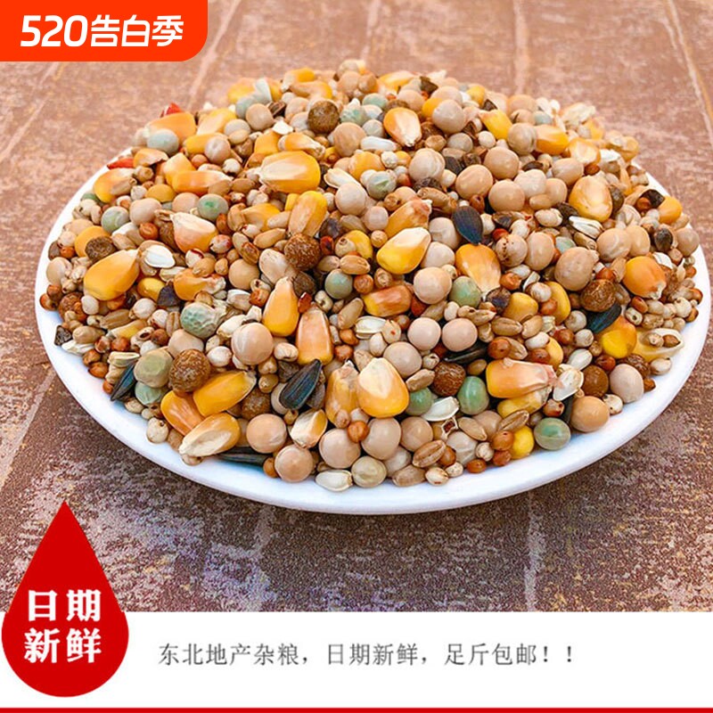 包邮5斤装鸽子粮有玉米幼鸽饲料 鸟食信鸽观赏鸽肉鸽粮赛鸽粮幼鸽