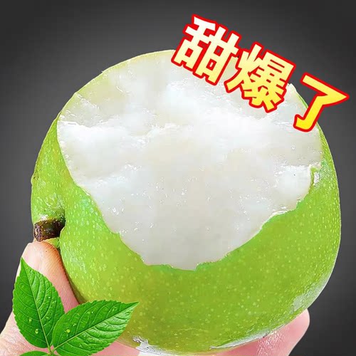 2026年新梨砀山梨皇冠梨青皮蜜梨