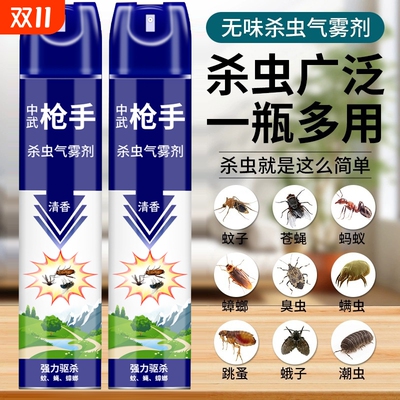 杀虫剂气雾剂家用室内灭蚊蝇
