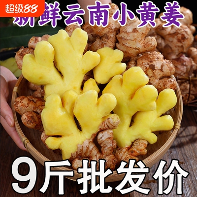 高原小黄姜批发价现挖现发新鲜