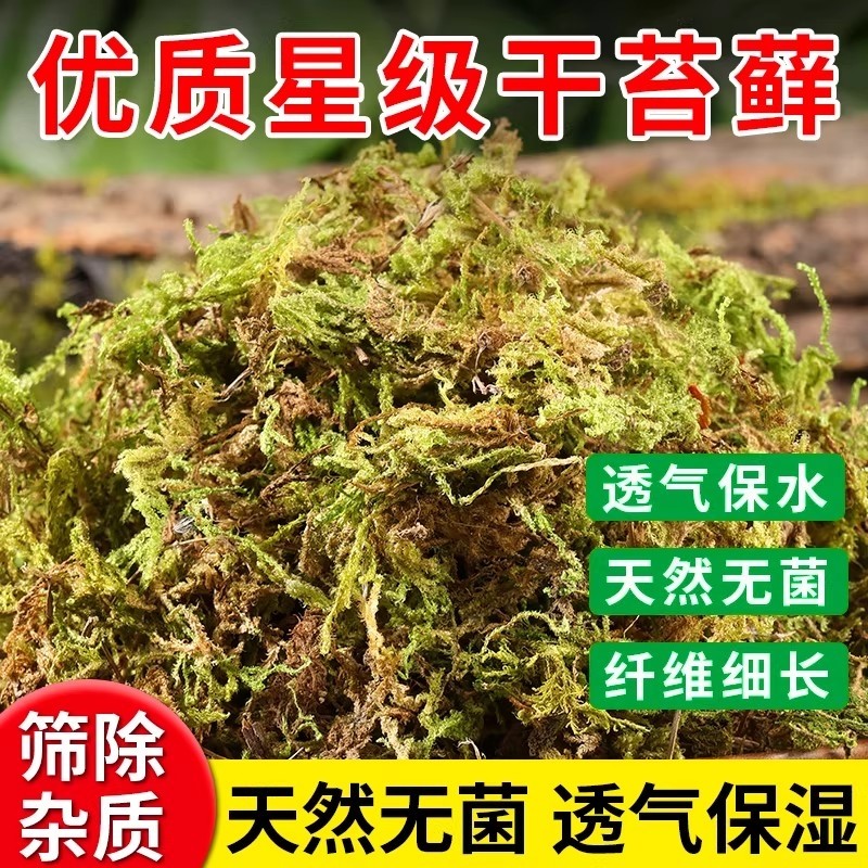 蝴蝶兰专用干苔藓兰花营养土专用土土青苔