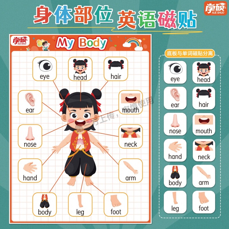 哪吒身体部位英语早教挂图英文单词图片body磁性贴儿童认知教具