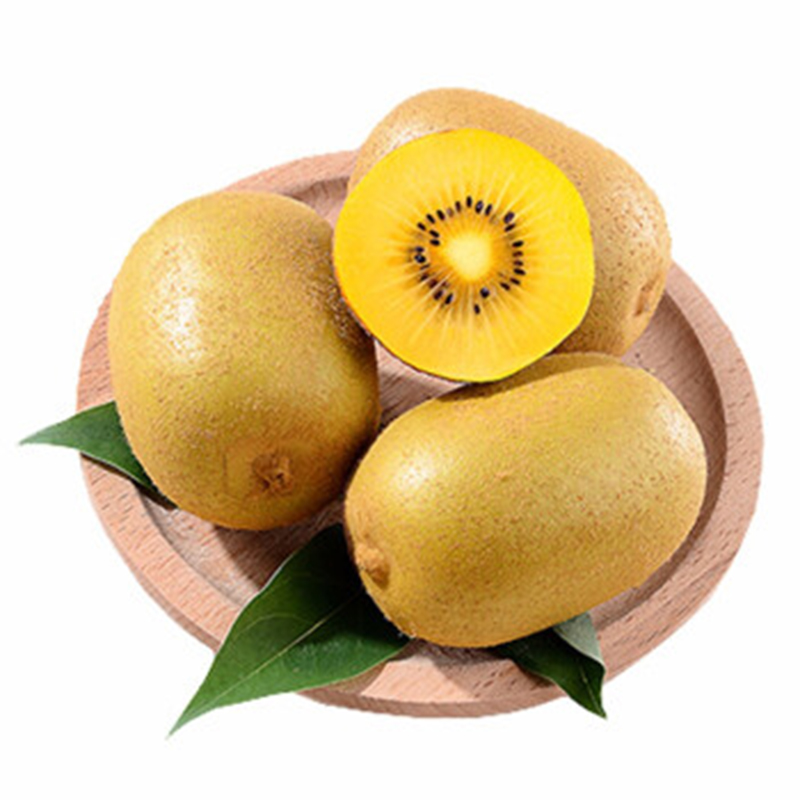 黄心猕猴桃6枚多规格