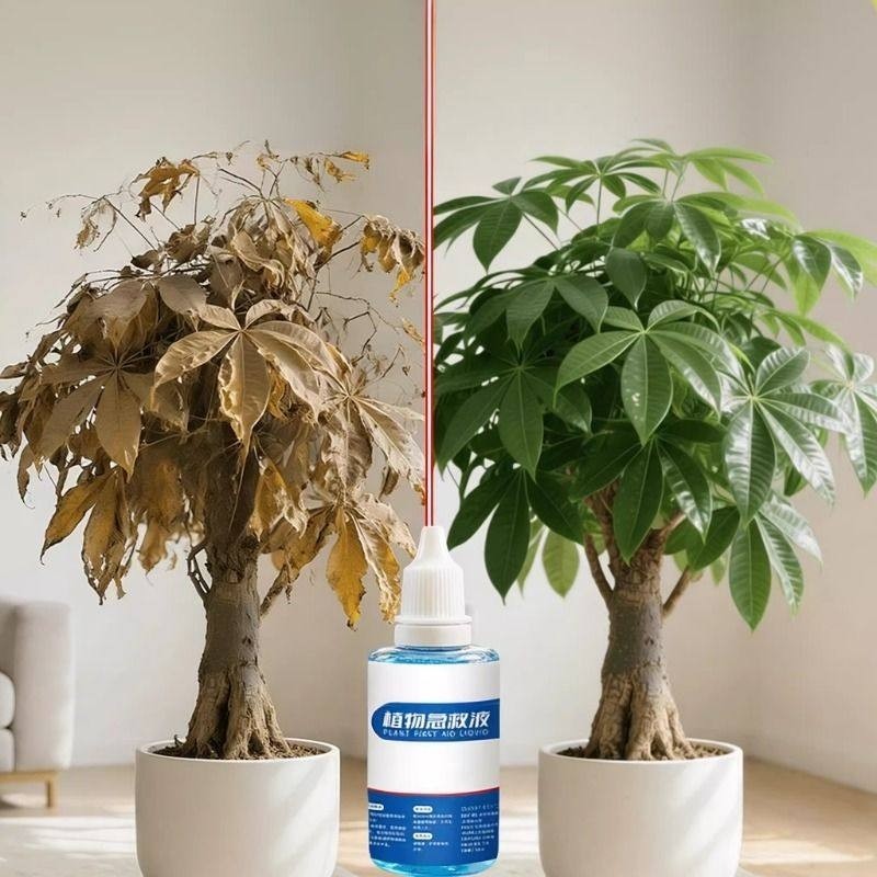 植物复活液花卉绿植多肉水培果蔬通用型再生液拯救复活植物医疗液,鲜花速递/花卉仿真/绿植园艺,家庭园艺肥料,淘宝优惠券,粉丝福利购,淘宝优惠卷