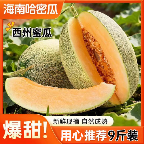 正宗海南哈密瓜西州密25号瓜薄皮爆甜当季新鲜水果一整箱老少皆宜