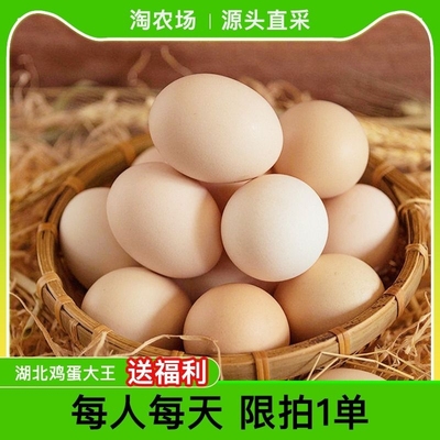 鸡蛋大王农家散养新鲜土鸡蛋20枚 【券后价】9.9元