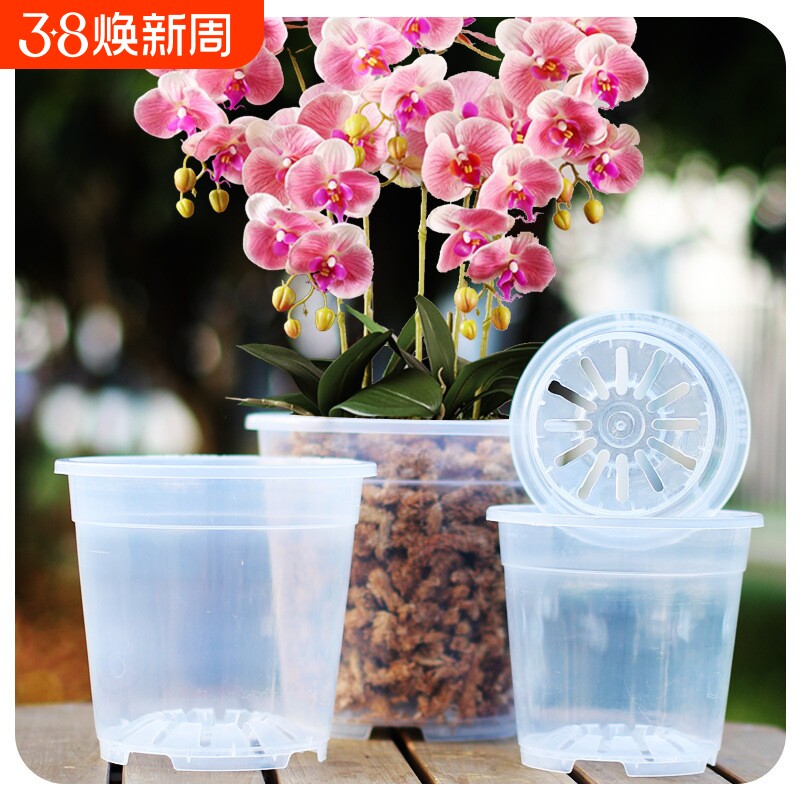 大号蝴蝶兰花器高透明硬质塑料蕙兰养根观根盆青山花盆加厚控根盆