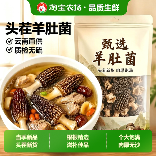 农家特产羊肚菌干货新鲜羊肚菌菇煲汤食材香菇非野生国货菌子源头