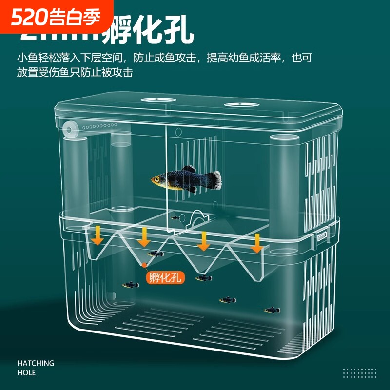 鱼缸隔离盒孵化盒孔雀鱼凤尾繁殖盒小鱼苗幼鱼鱼苗缸外产房孵化器