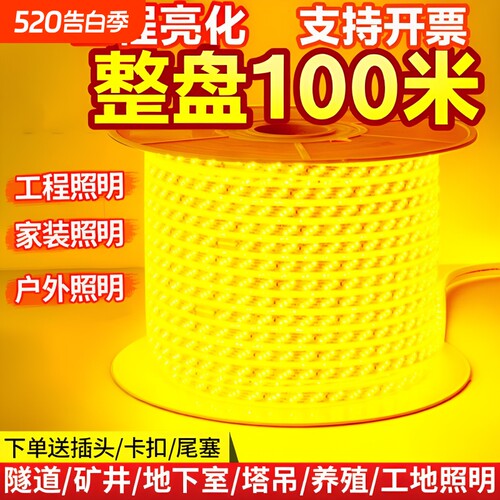 整卷100米超亮LED灯带家装户外工程亮化吊顶户外防雨暖光白光装饰