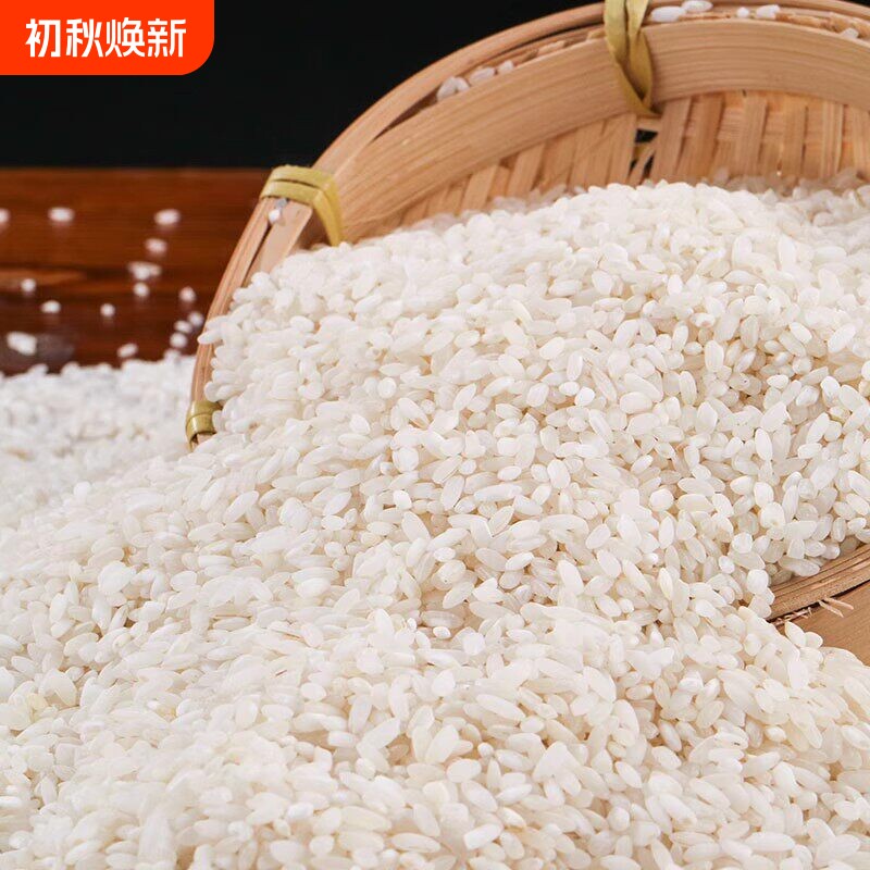 桂朝米早稻米做凉粉米豆腐肠粉裹粉大米批发凉虾贵朝米批发