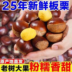 生板栗丹东板栗粉糯板栗农家现货生栗子野生批发蔬菜包邮鲜生去皮