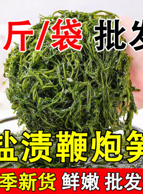 水产海带海草藻类鞭炮笋海藻爆炸笋火炮长寿菜火锅食材马尾藻海带