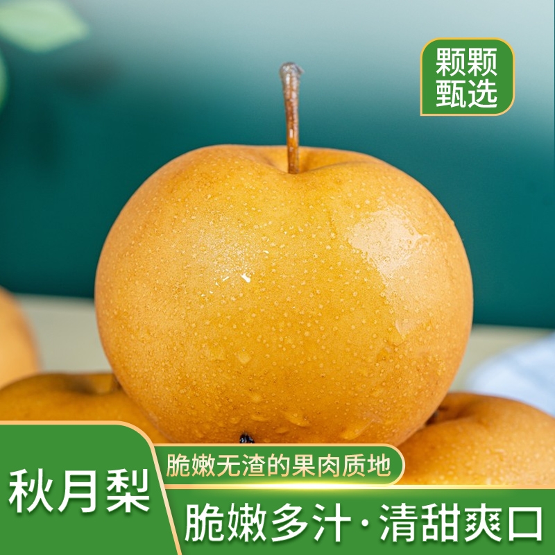 山东秋月梨皮薄肉厚脆甜多汁应季新鲜水果香甜脆甜4.5斤箱装