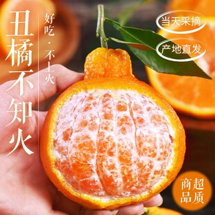 新鲜水果整箱大果原产地 正宗四川不知火丑橘9斤彩箱大果当季