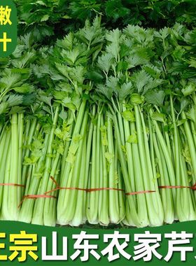 山东现挖芹菜本地带叶芹菜露天小西芹榨汁青菜新鲜蔬菜当季蔬菜
