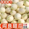 正宗现摘陕西阎良甜瓜4.5斤