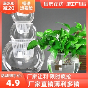 简约创意水培瓶植物透明玻璃花瓶绿萝花盆花鱼共养缸水养摆件器皿