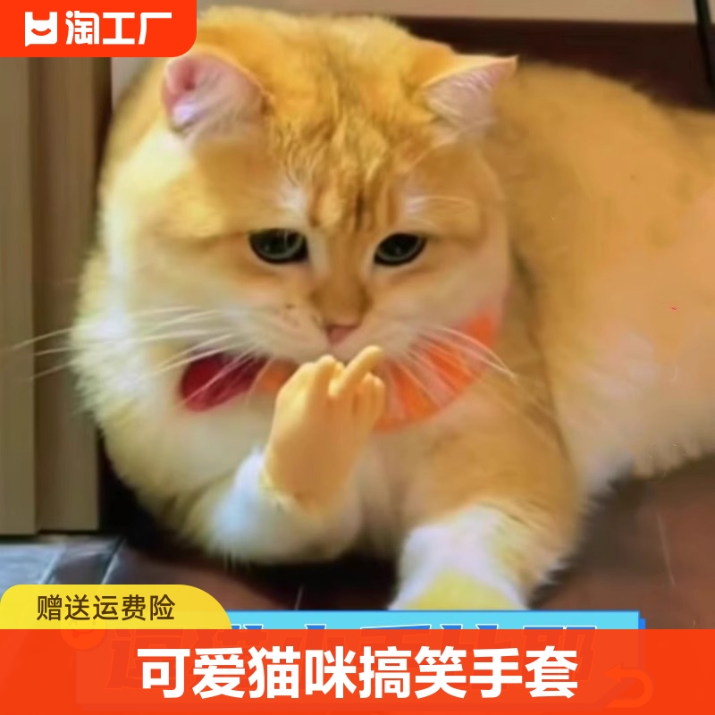 网红爆款猫咪手套迷你搞笑人手小手逗猫玩具