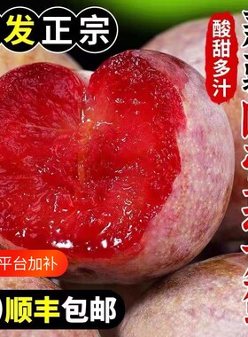 新疆恐龙蛋李子顺丰包邮