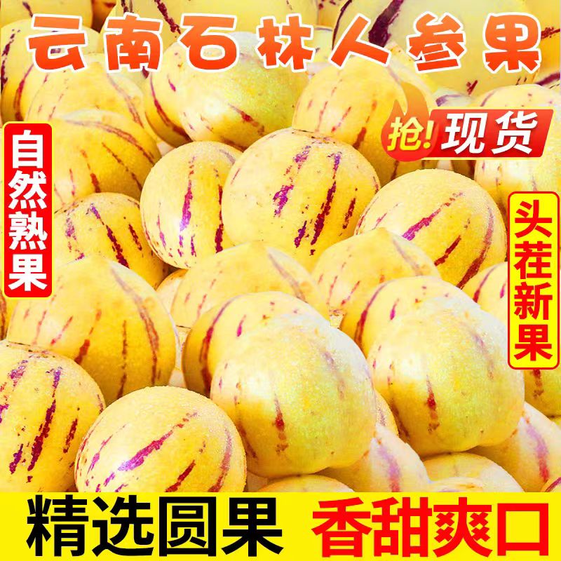 云南石林人参果5斤树上熟新鲜人参果七彩黄肉圆果人生果整箱包邮