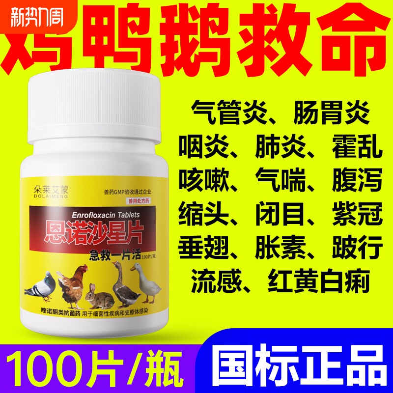 兽药急救一片活鸡鸭感冒拉稀咳嗽药禽类鸡药大全特效消炎恩诺沙星