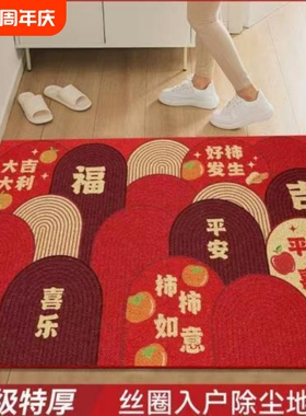 2025新款入户门地垫丝圈出入平安门垫防滑脚垫进门口红色新年地毯