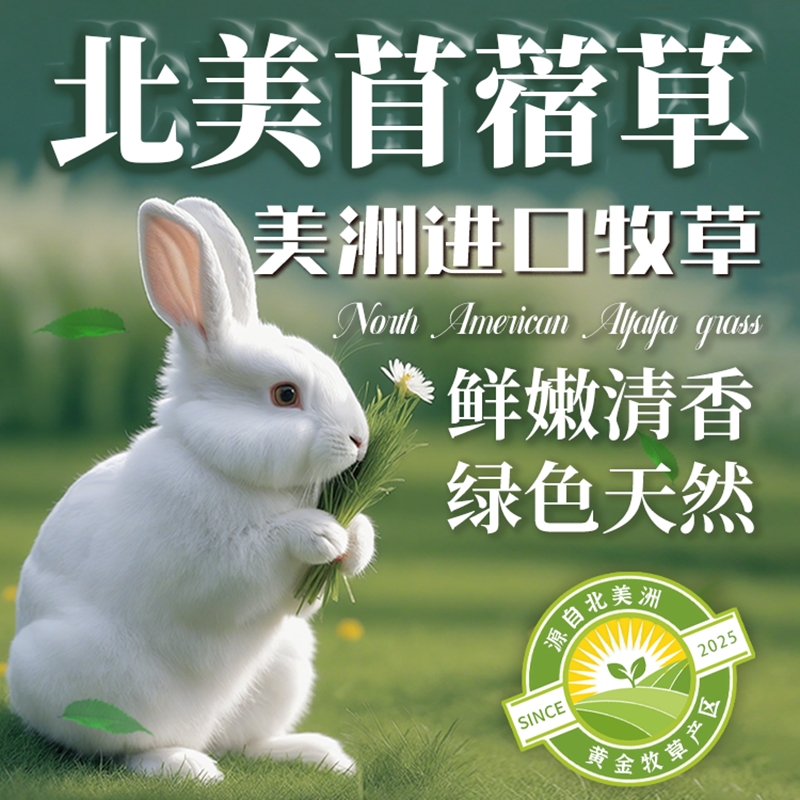 精选北美进口紫花苜蓿干草兔子龙猫荷兰猪紫花兔粮幼兔饲料牧草